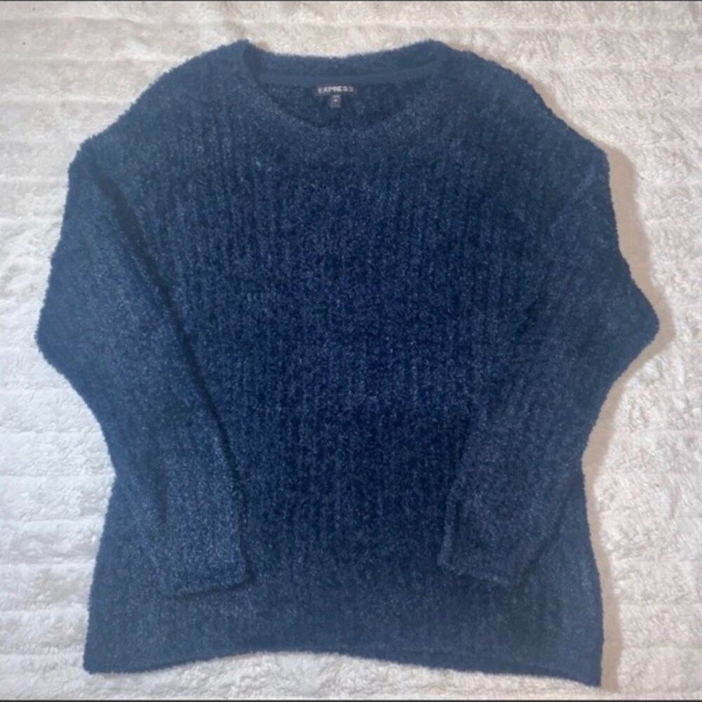 NWOT Express Blue Sweater
